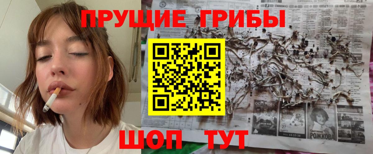 Псилоцибиновые грибы Psilocybe Кумертау
