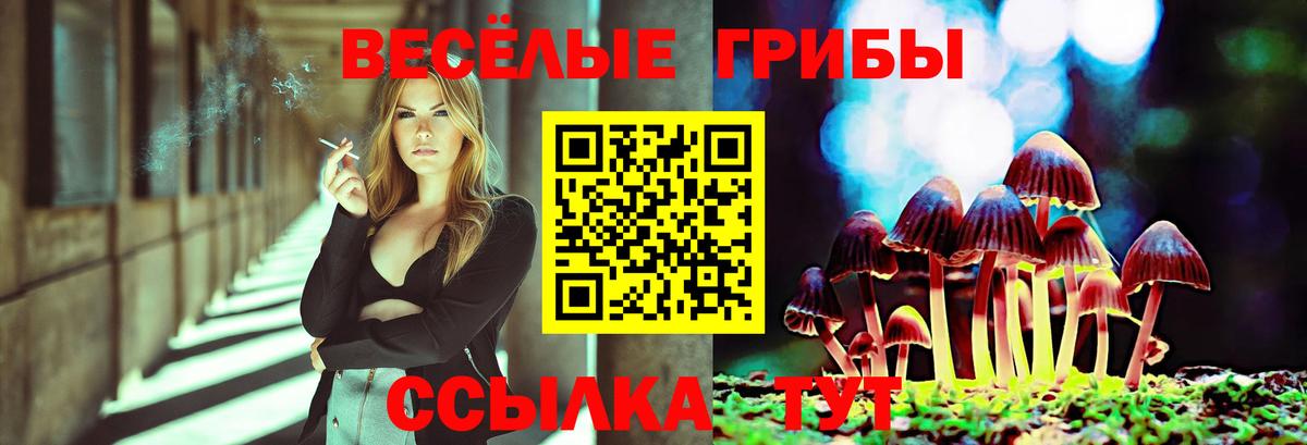 Кумертау  Галлюциногенные грибы MAGIC MUSHROOMS  Галлюциногенные грибы ЛСД  Вход с VPN 